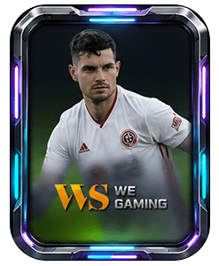WS GAMING